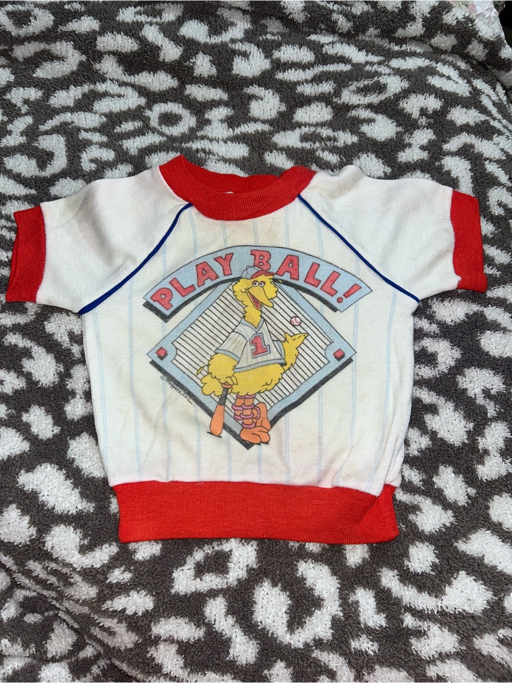 Vintage sesame street shirt 2T